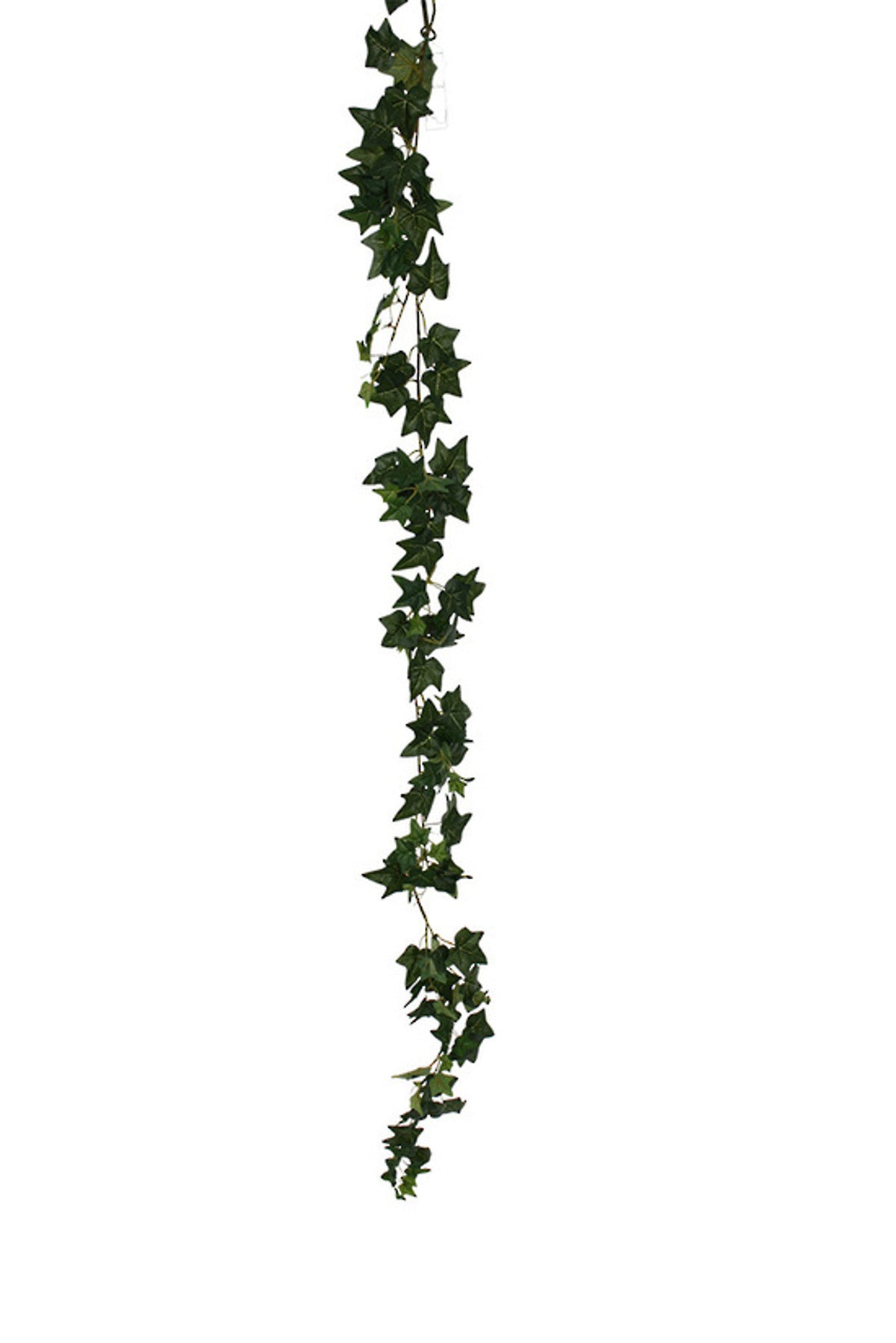 Mini English Ivy Garland hanging straight at full length