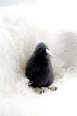 Koko the Kiwi soft toy in slate styled in a calm, Scandinavian-inspired nursery