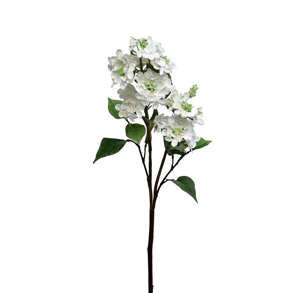 Lilac Stem - White