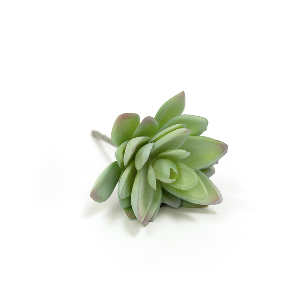 Lotus Succulent Green/Grey Tips 13cm