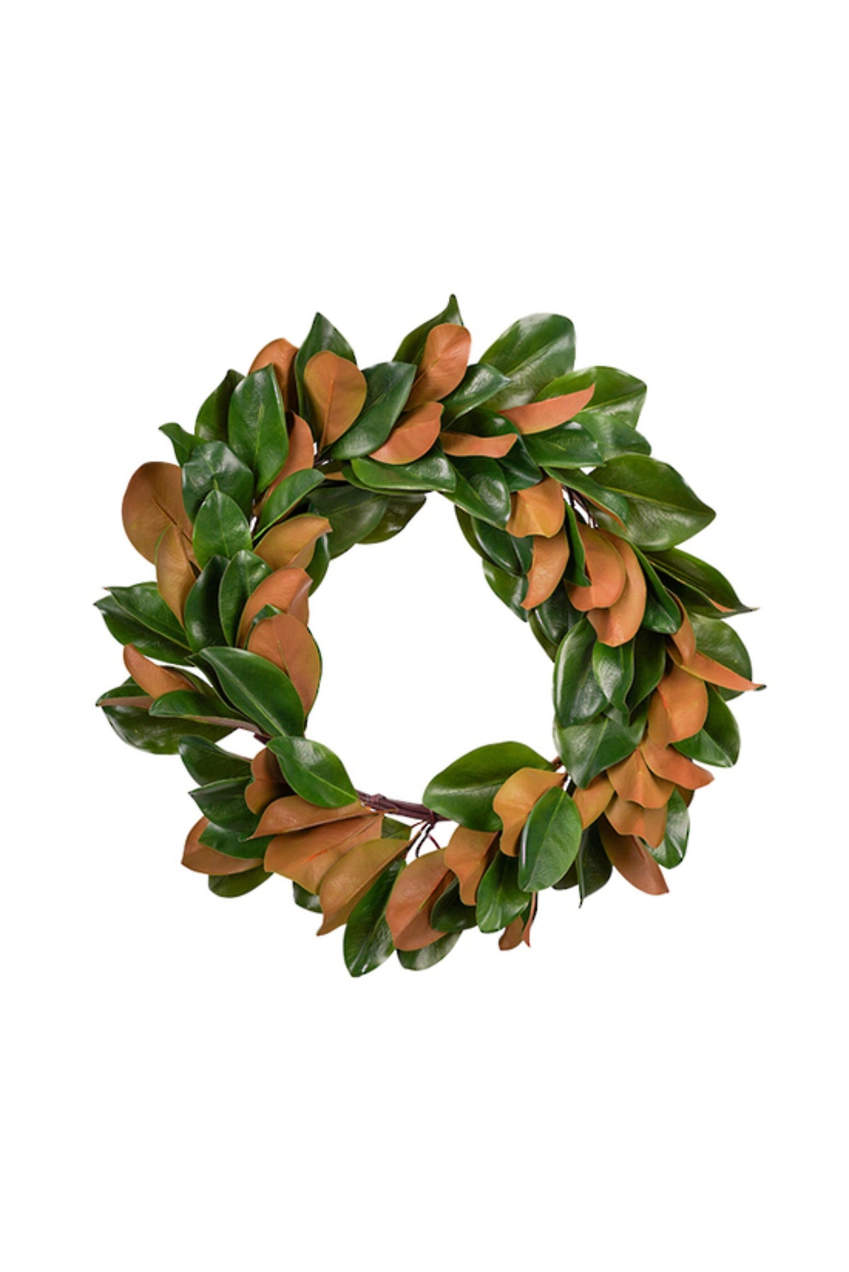 Artificial magnolia leaf wreath showing glossy green fronts and brown undersides, 68cm