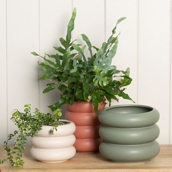 Milan Sculptural Planter – Parchment Ceramic Pot in 3 Sizes