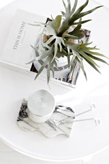 Mini staghorn fern styled atop design books in a fluted glass vessel, paired with a marble tray holding a silver candle and wick trimmer on a white circular table.