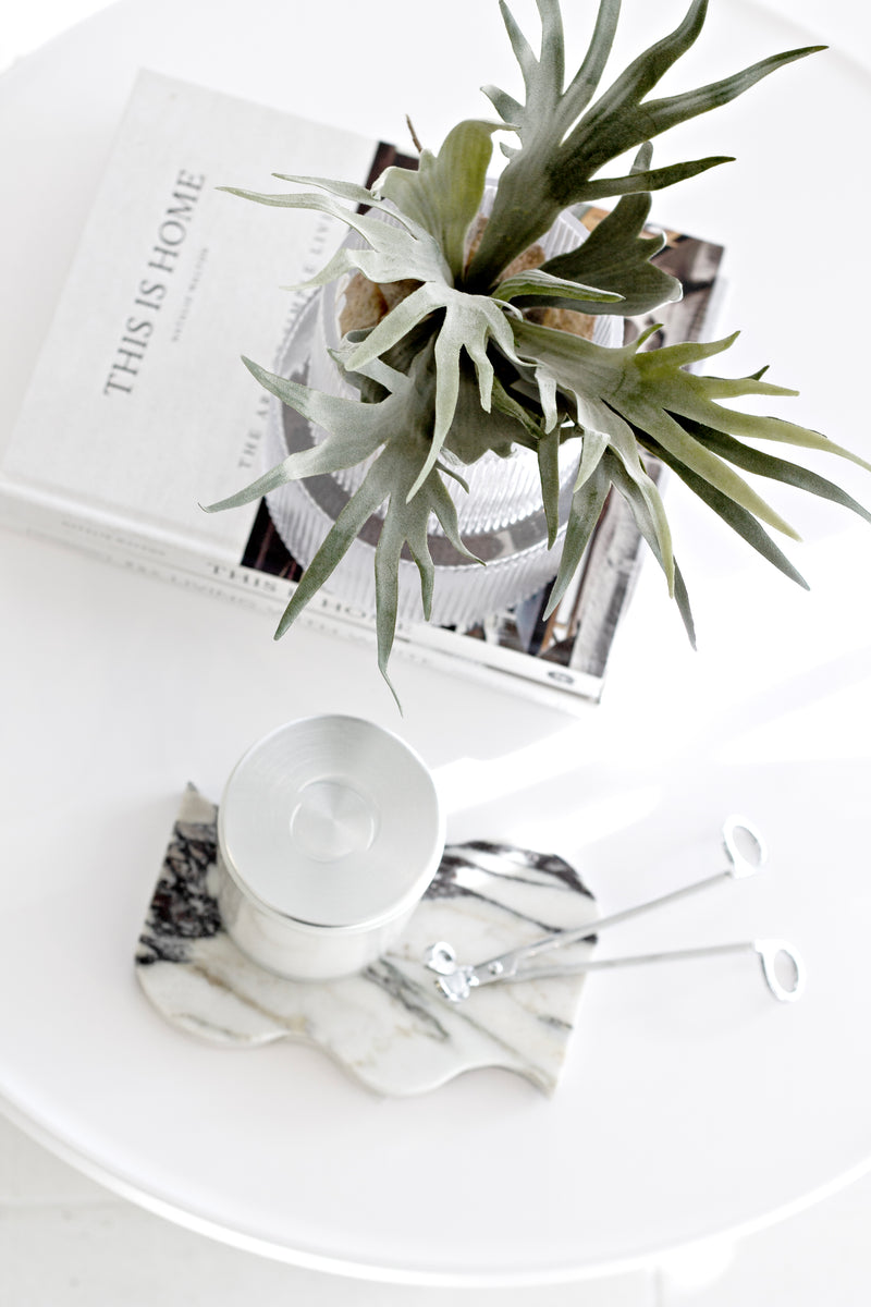 Mini staghorn fern styled atop design books in a fluted glass vessel, paired with a marble tray holding a silver candle and wick trimmer on a white circular table.