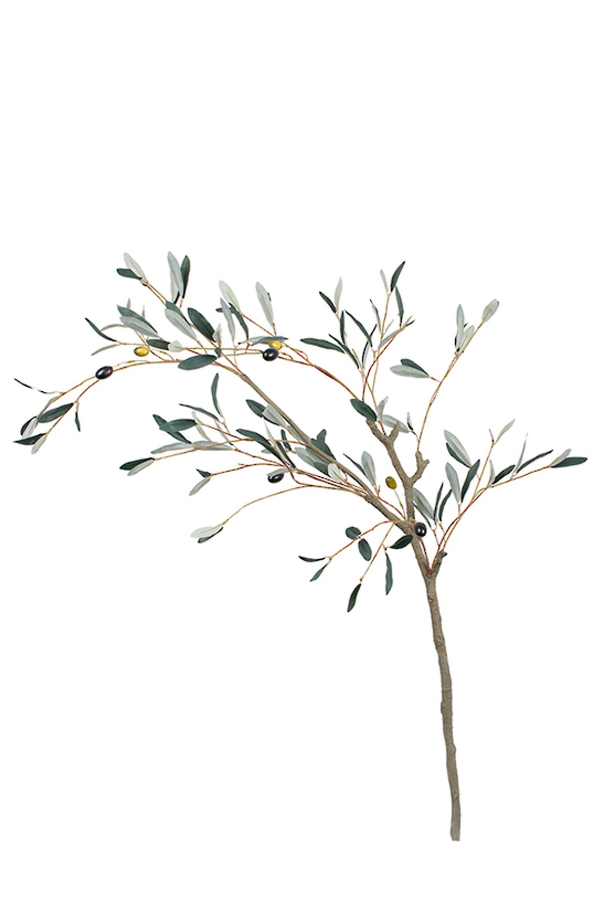Faux olive leaf branch 120cm long with slim silver green leaves on a bare woody stem