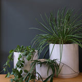 Oslo Planter Sandstorm – Minimal Stoneware Pot with Drainage