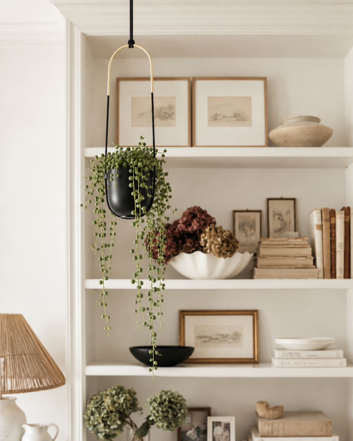 Bolo hanging planter with trailing string of pearls in front of styled white bookshelves