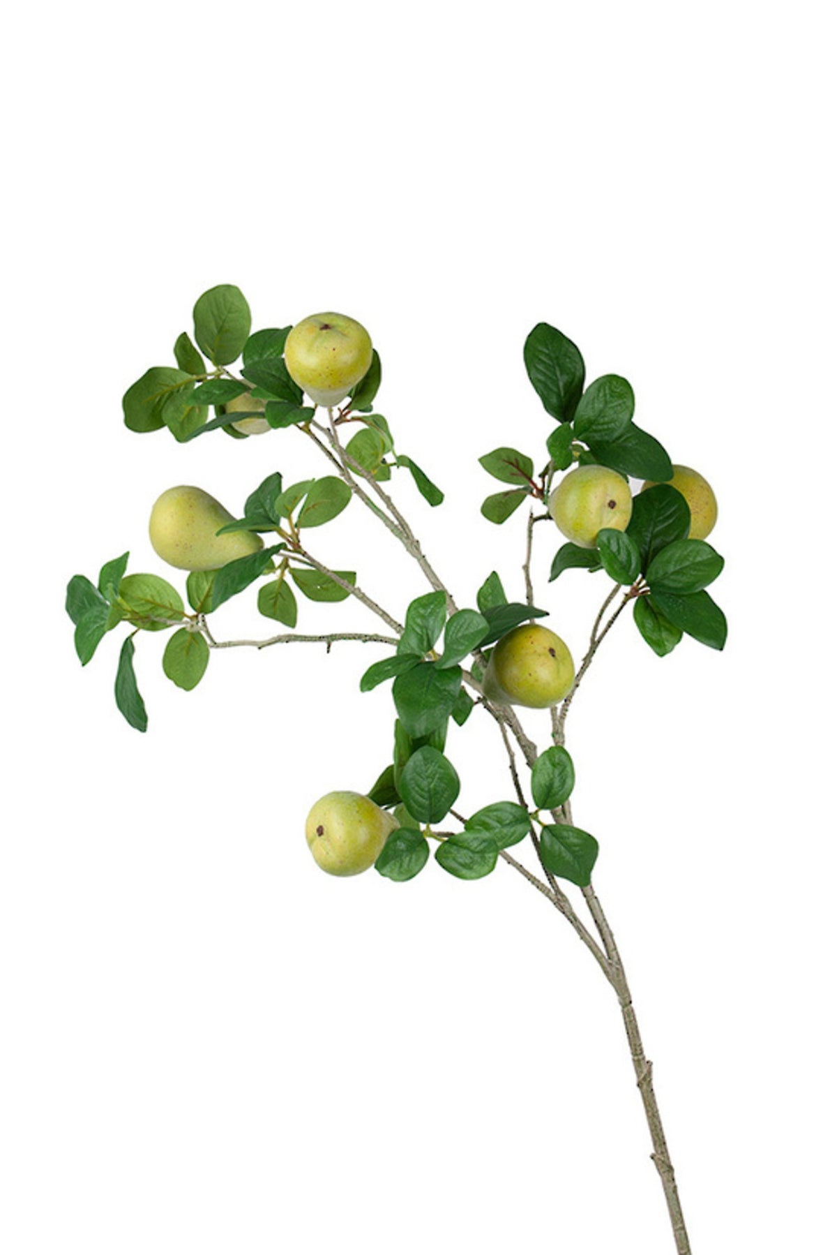 Close up of faux pear branch showing green pears among glossy leaves
