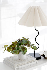 Real-touch Peperomia Watermelon faux plant in white pot, lifelike greenery styled on books with lamp in NZ home décor.
