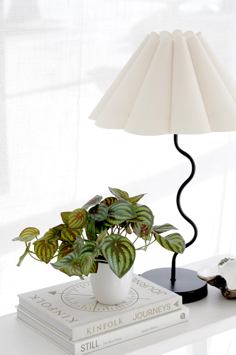 Real-touch Peperomia Watermelon faux plant in white pot, lifelike greenery styled on books with lamp in NZ home décor.