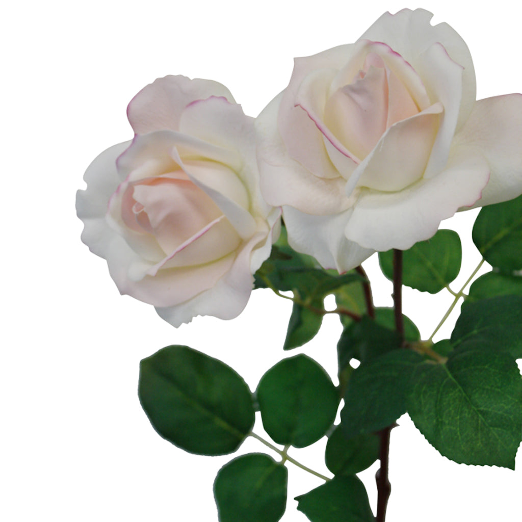 Tea Rose, Light Brown or Light Pink 65cm Faux Stem
