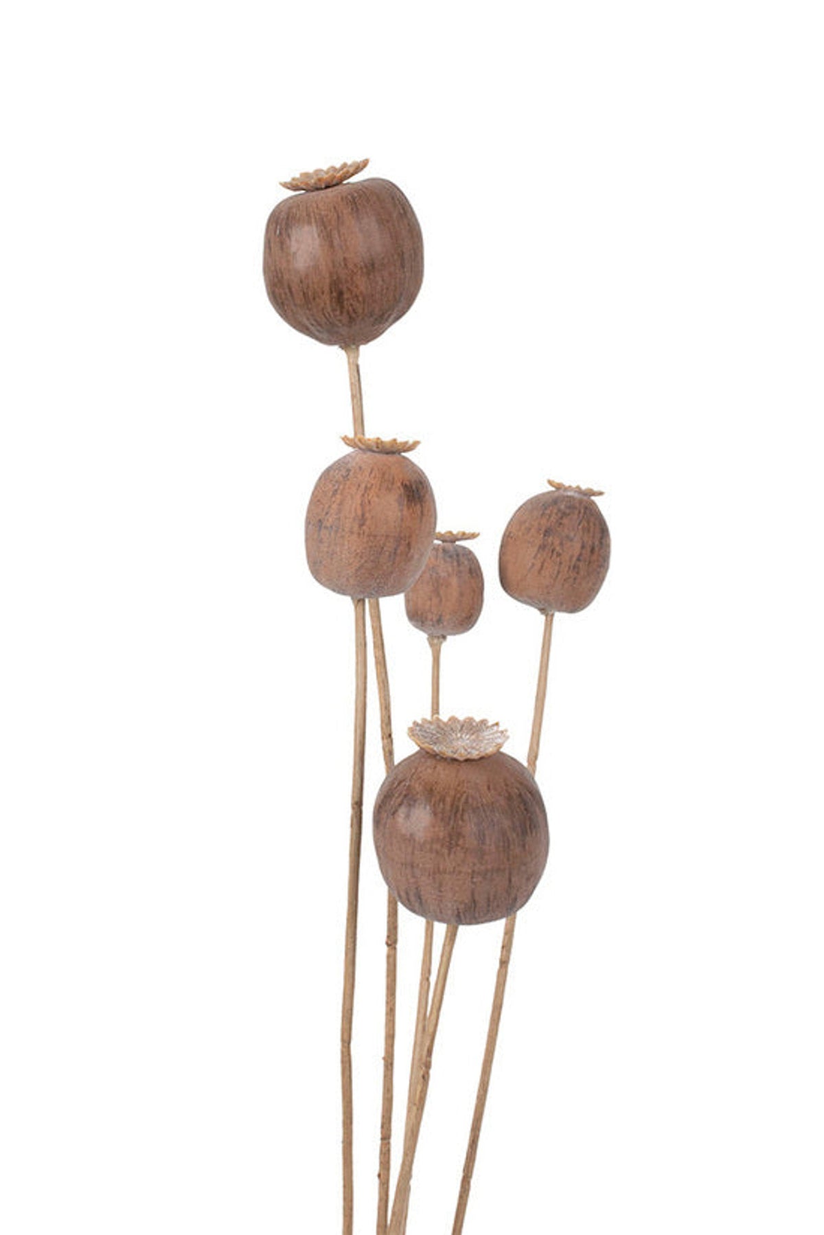 Poppy seed five head spray in toasted natural, warm brown faux seed pod stem