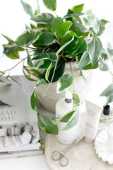 Variegated pothos artificial hanging bush styled in ceramic pot on neutral bathroom vanity