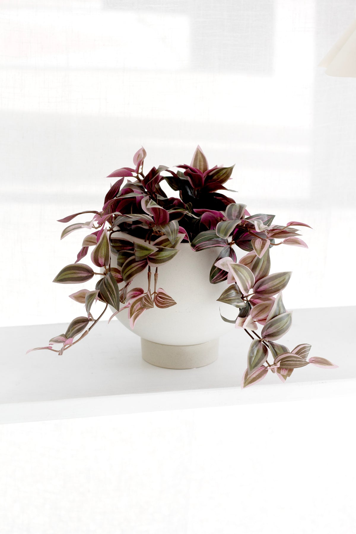 Orbit oatmeal stoneware planter with curved silhouette and built-in plinth saucer, styled with a trailing plant