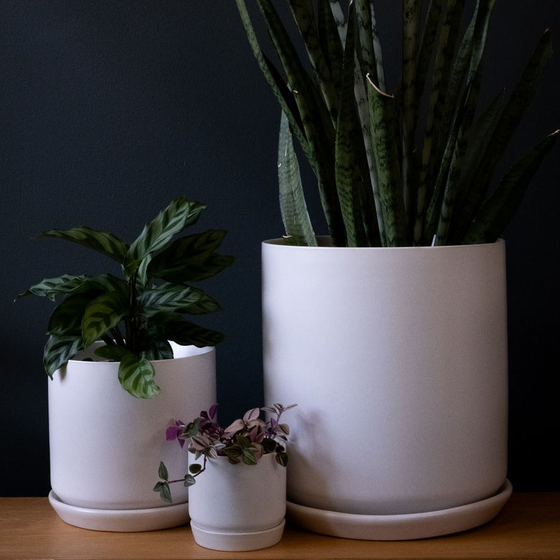 Medium Oslo Planter Ice White