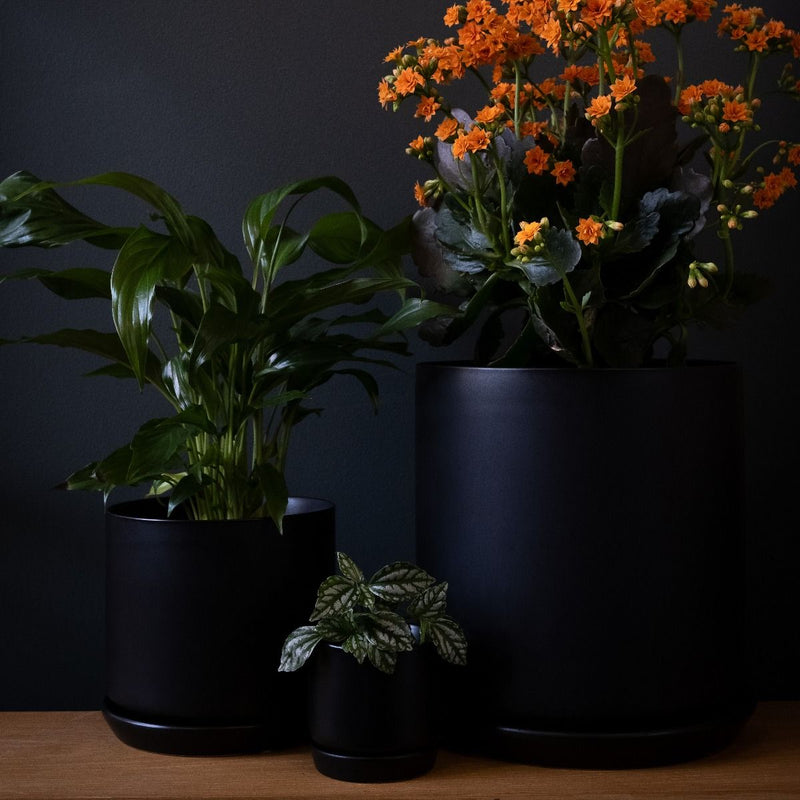 Mini / Small Oslo Planter Jet Black