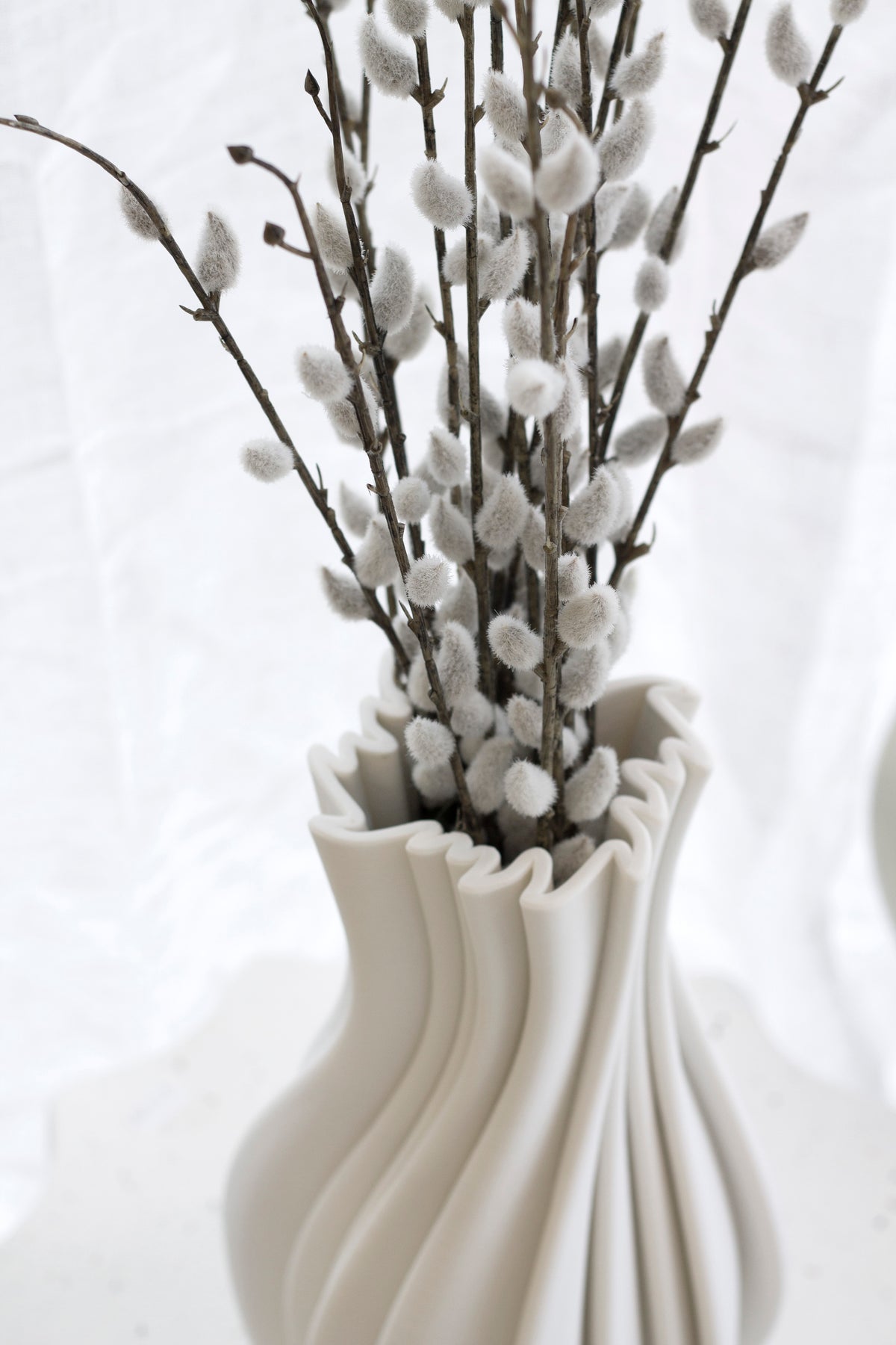 Close view of faux pussy willow catkins above a white ribbed vase