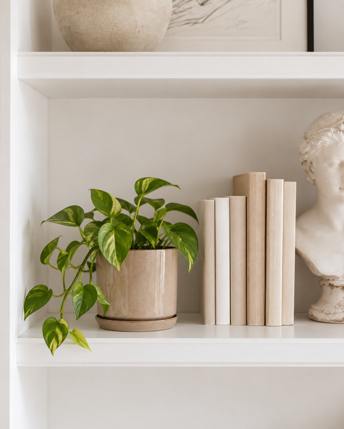Oslo stoneware planter with a trailing pothos on a white bookcase shelf beside neutral books and a plaster bust