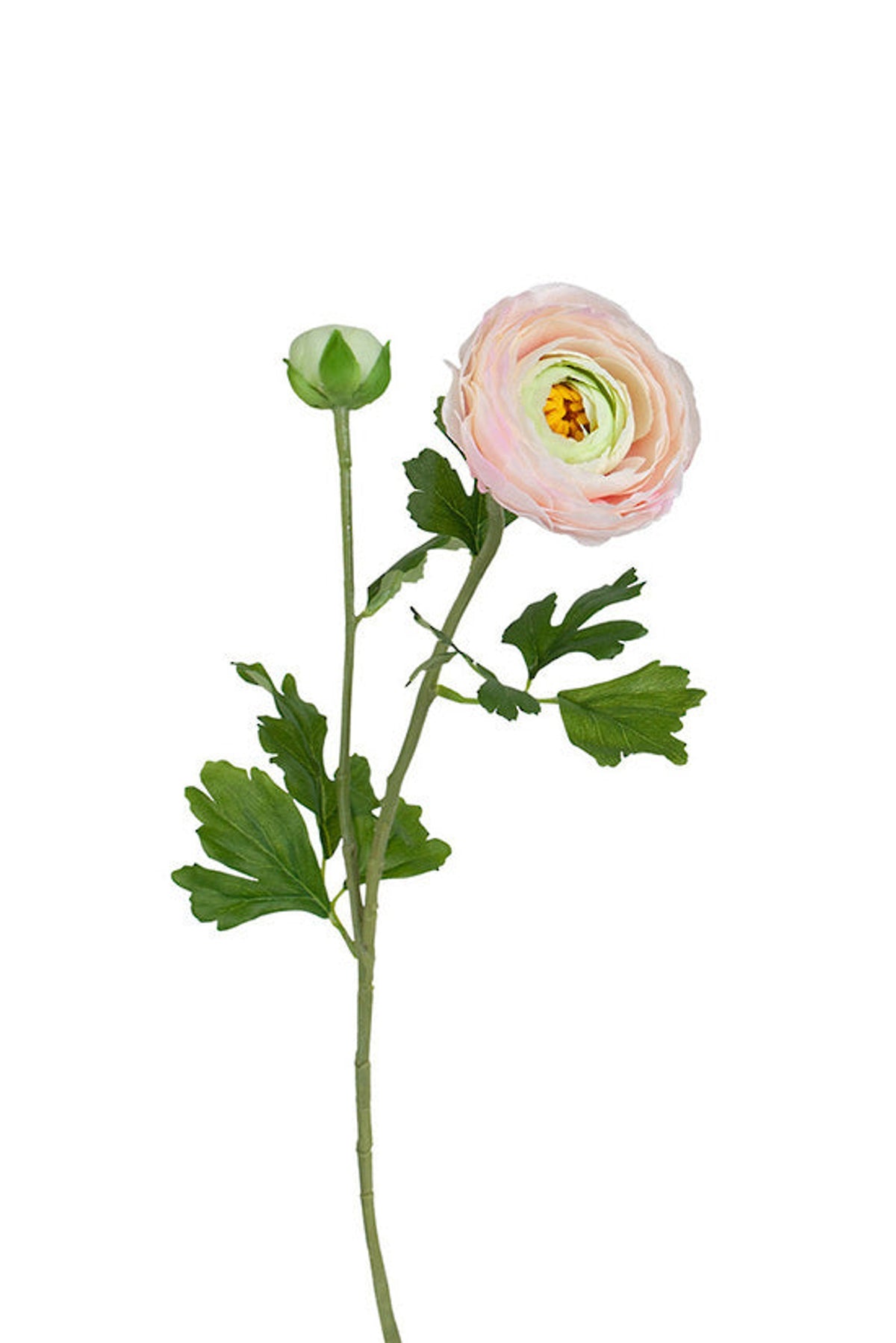 Ranunculus spray in blush with a lime green centre, faux stem with layered tissue petals