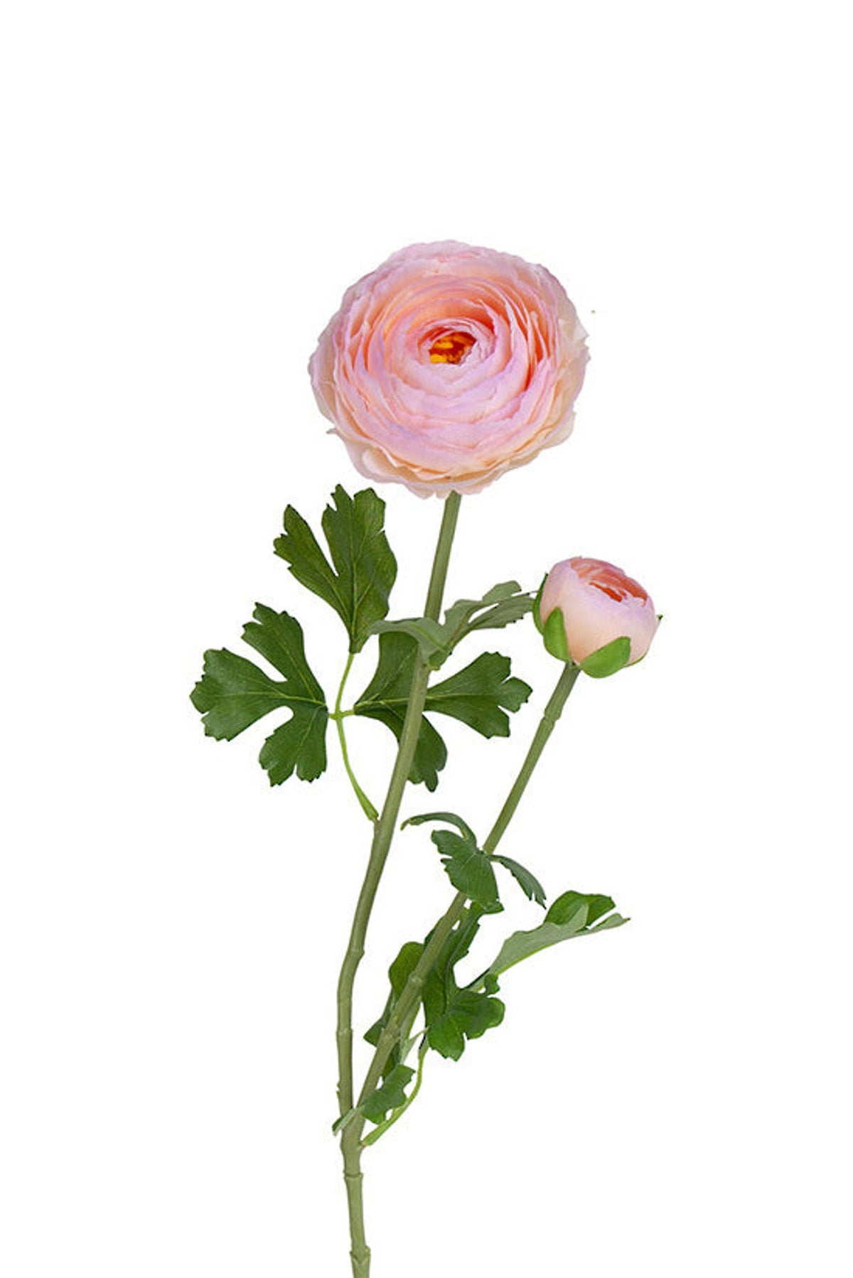Ranunculus spray in rosy pink, faux Persian buttercup stem with dense petals