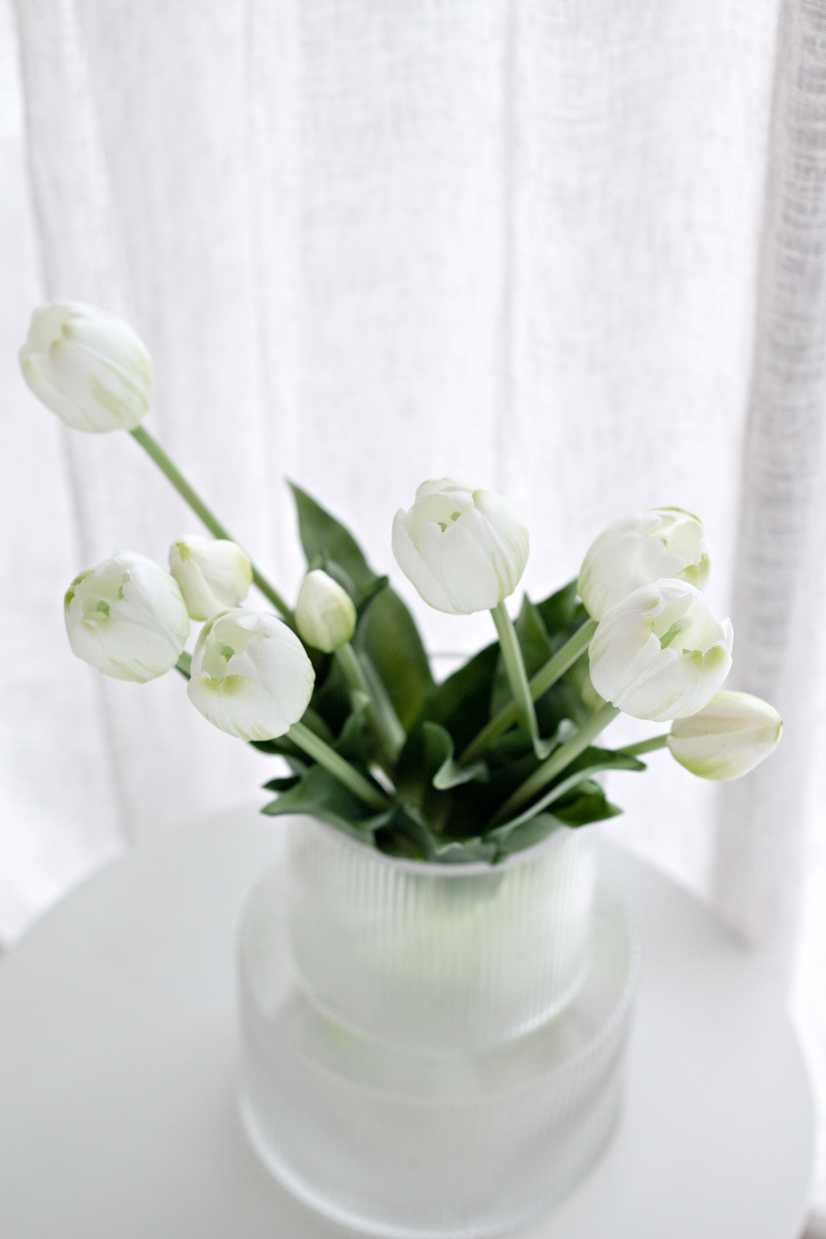 White faux tulips in a frosted glass vase in front of a sheer curtain