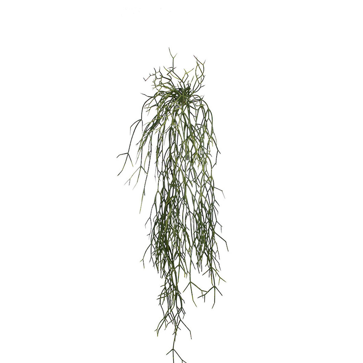 Faux rhipsalis hanging bush with fine trailing strands on a white background