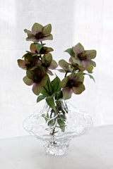 Clear rippled crystal glass vase with sculptural wide rim, styled with green and mauve hellebore stems on a light surface