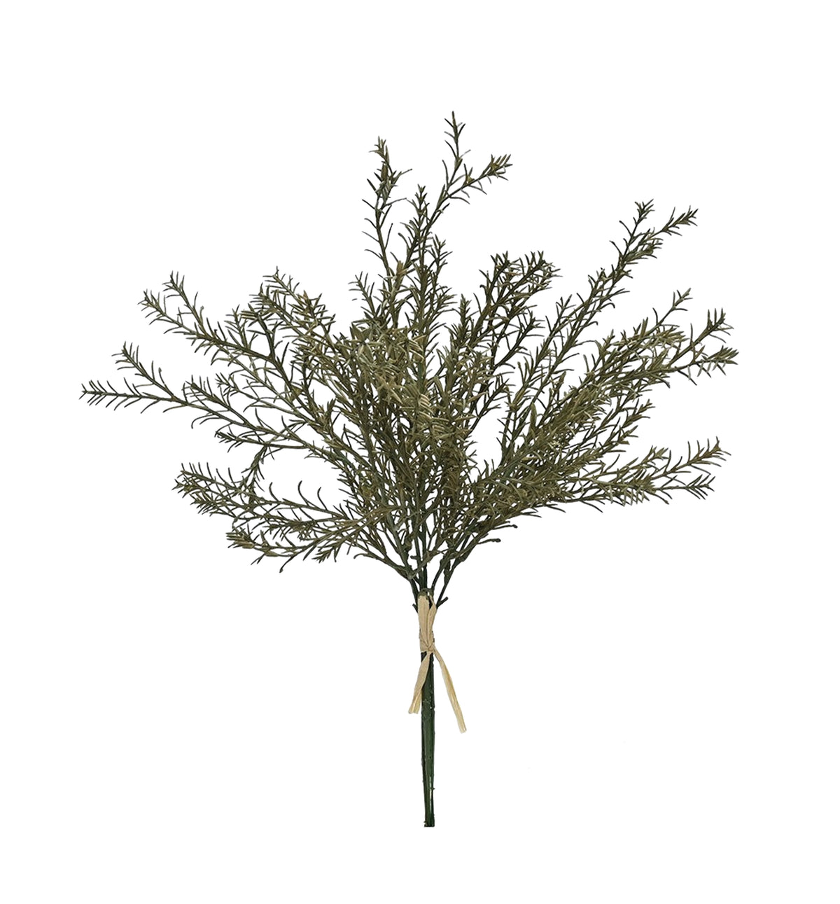 Tied bundle of faux rosemary stems with fine grey green needles, shown on white