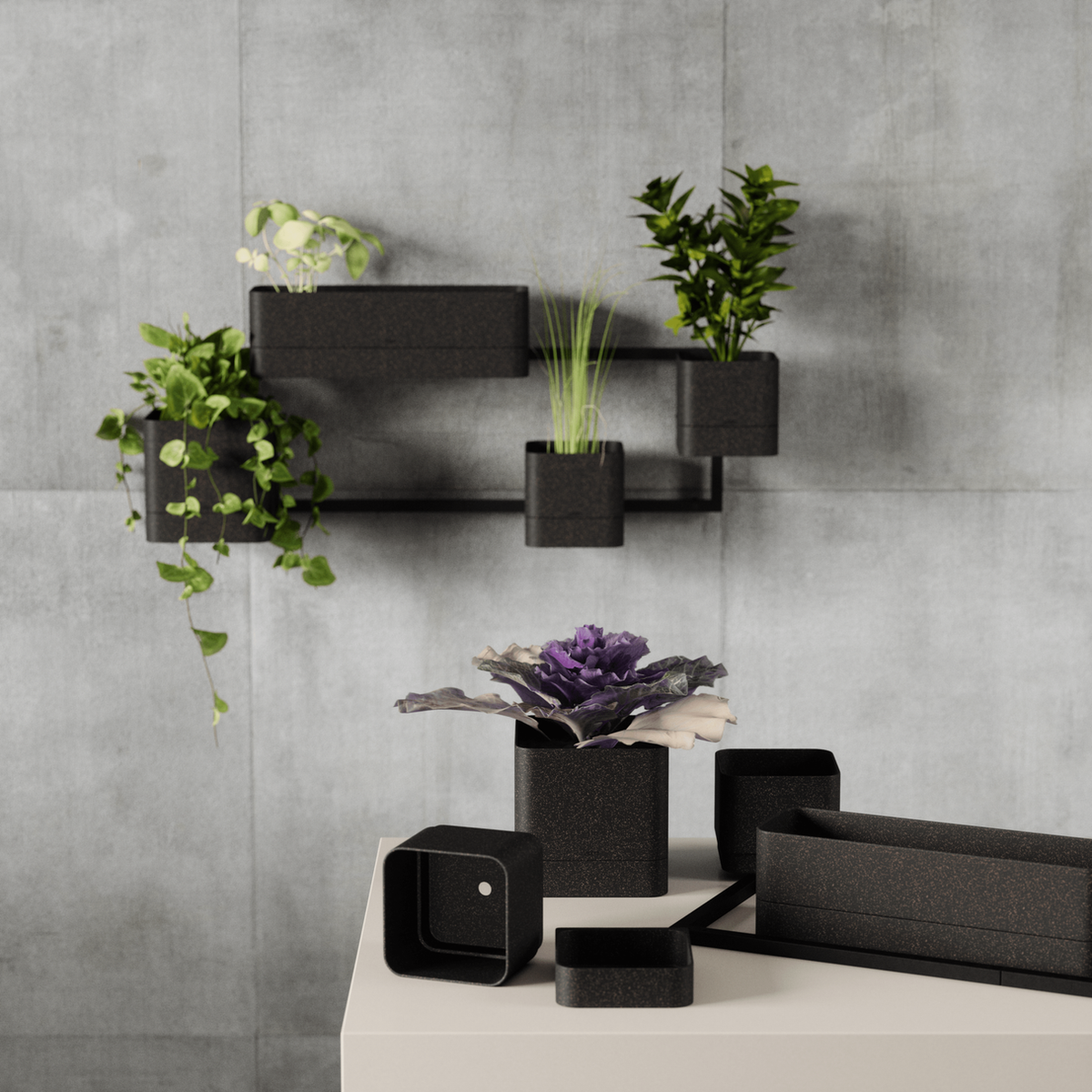 Umbra Cubiko wall planter in black with four pots and trailing plants on concrete