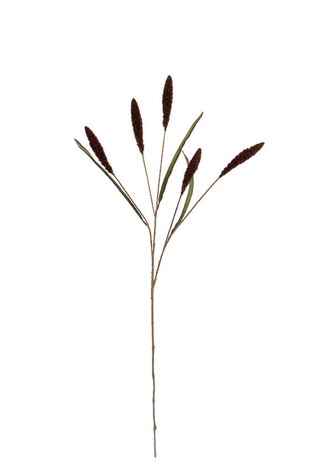 Setaria five head spray in cocoa, faux foxtail grass stem with deeper brown heads