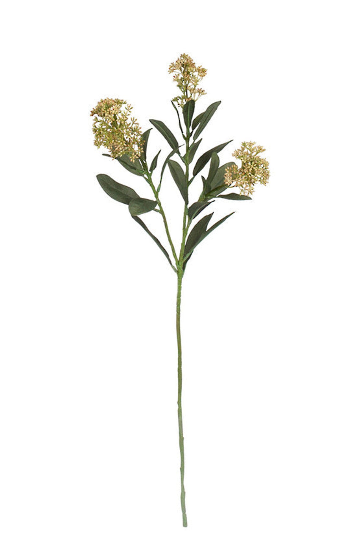 Skimmia spray in sage green, 66cm faux stem with clustered buds and glossy leaves
