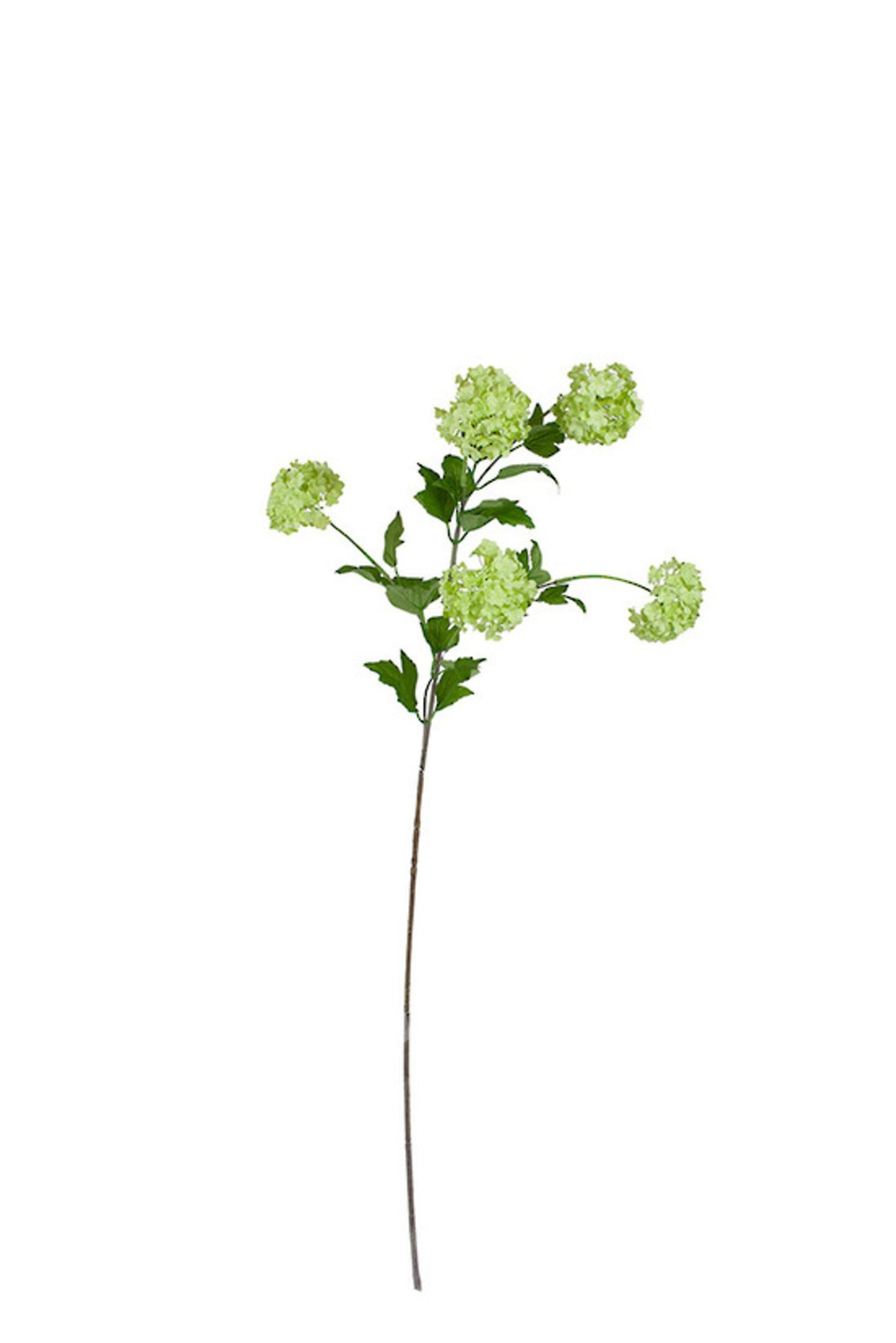 Snow ball spray in light green, 106cm faux viburnum stem with pale lime blooms