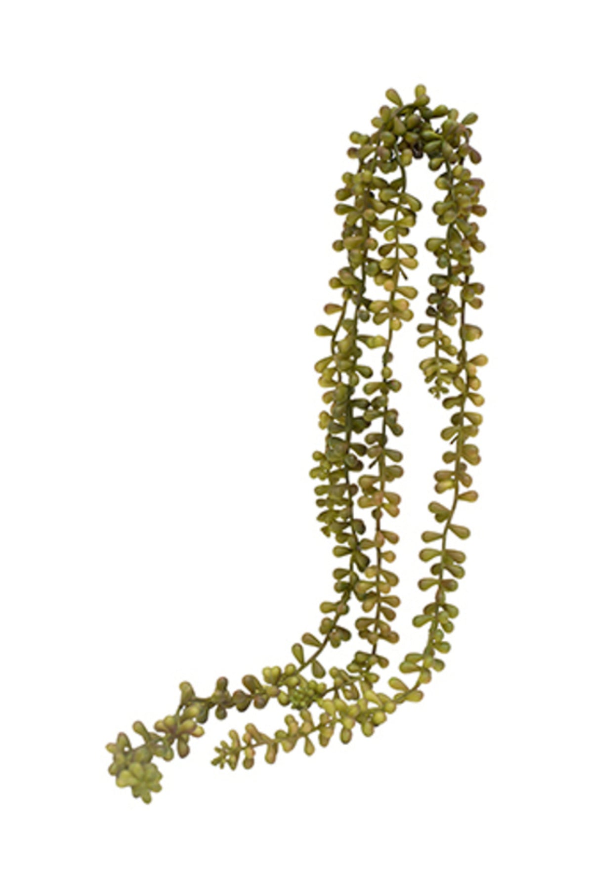 String of Pearls Spray, long trailing strands of green beads tinged red, on white