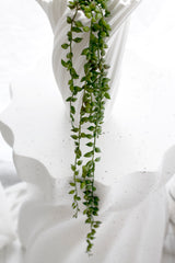 String of Tears faux succulent trailing plant draped over white sculptural vase