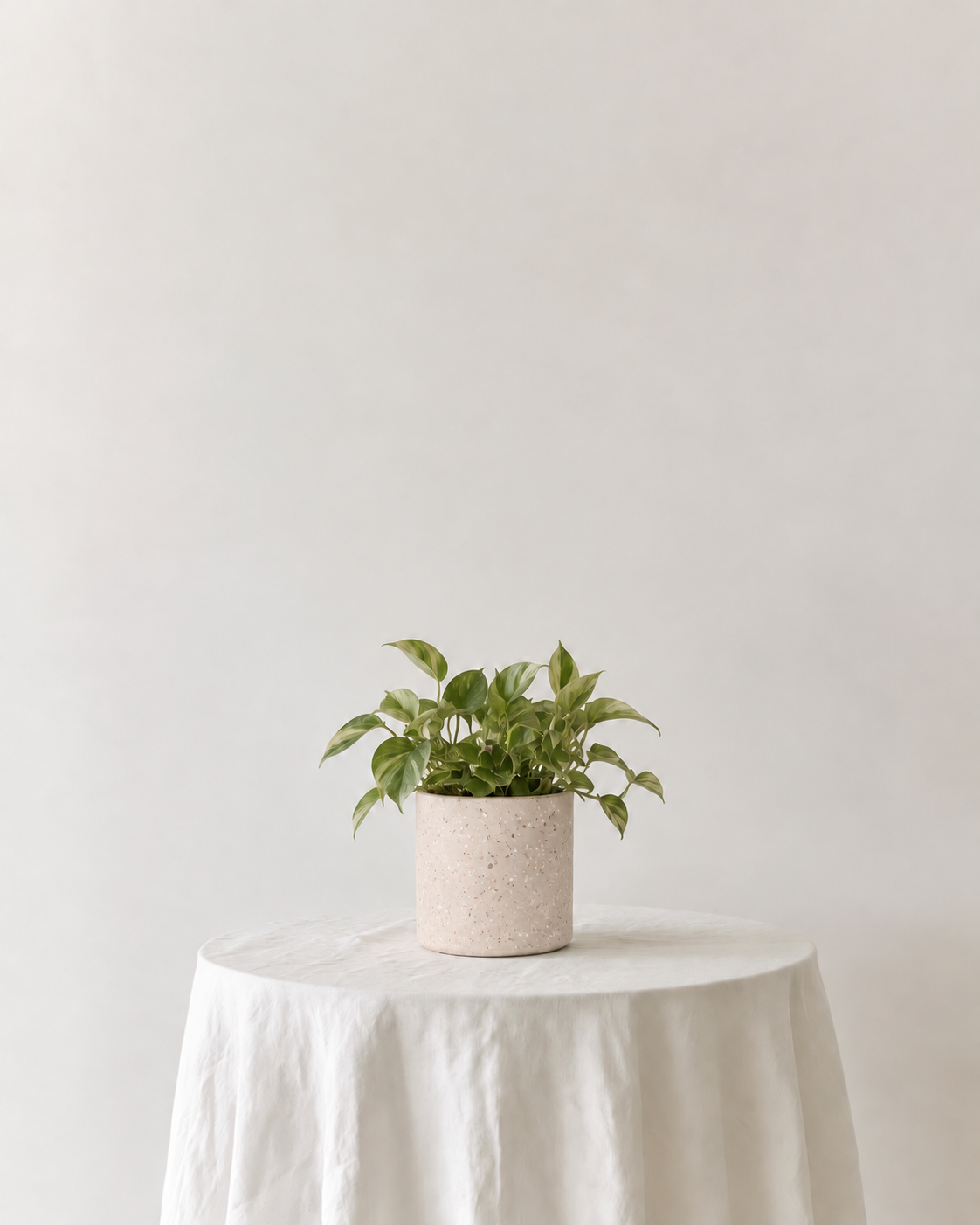 Terrazzo Pot in Rose by Zakkia with a small leafy plant on a linen-draped side table