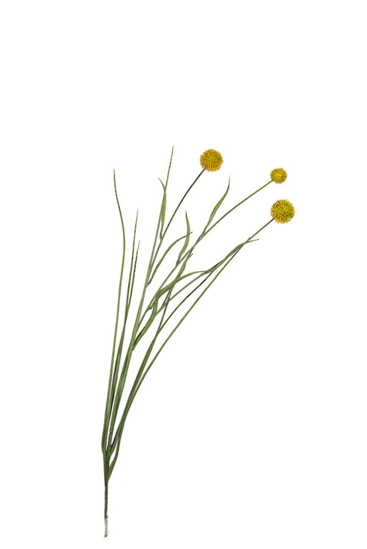 Thistle spray in chartreuse, 67cm faux globe thistle stem with three yellow-green heads