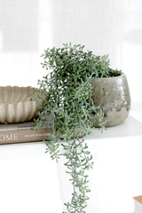 Rustic stoneware planter with cascading greenery styled on a neutral shelf.