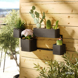 Cubiko Wall Planter