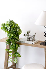Variegated pothos bush real touch stem styled in a vase on a shelf with a book and a balloon dog