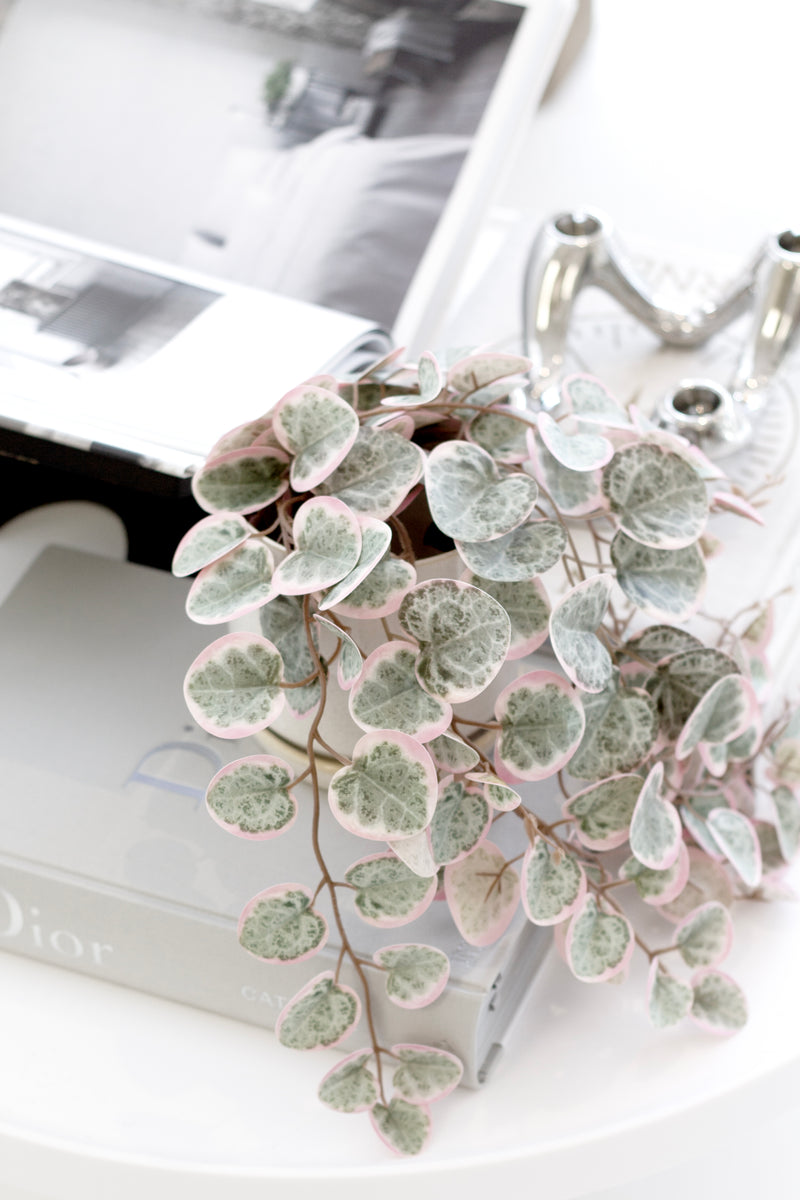 Faux variegated string of hearts trailing plant with pink and green heart-shaped leaves styled on books.
