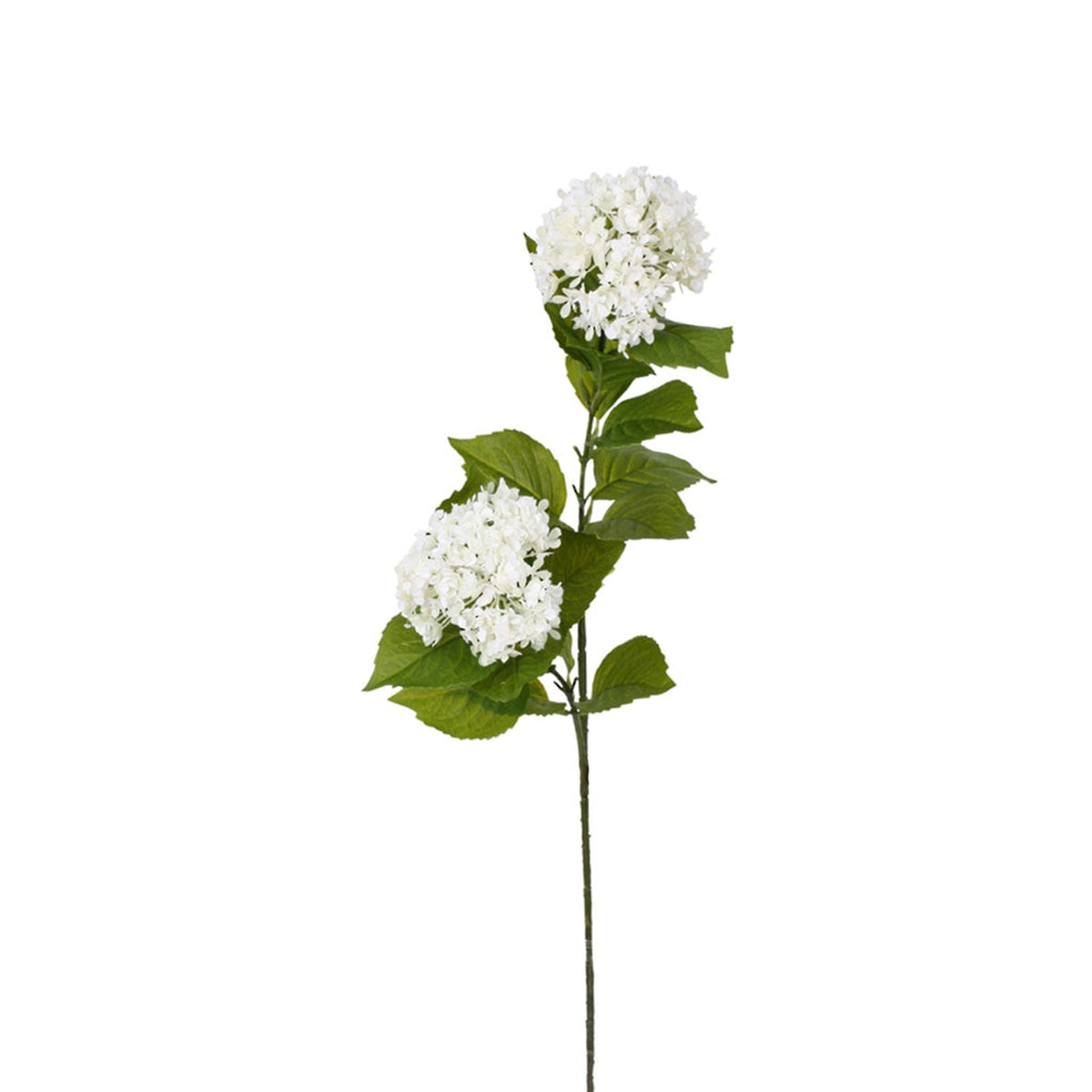 Faux white viburnum spray with two round flower heads, on white