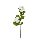 Viburnum Spray 2 Heads - White