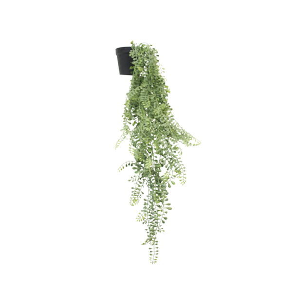 Potted Hanging Vine