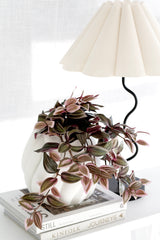 Wandering dew lilac faux hanging bush with purple and green striped leaves cascading from a white vase on stacked books beside a wavy black lamp in soft natural light