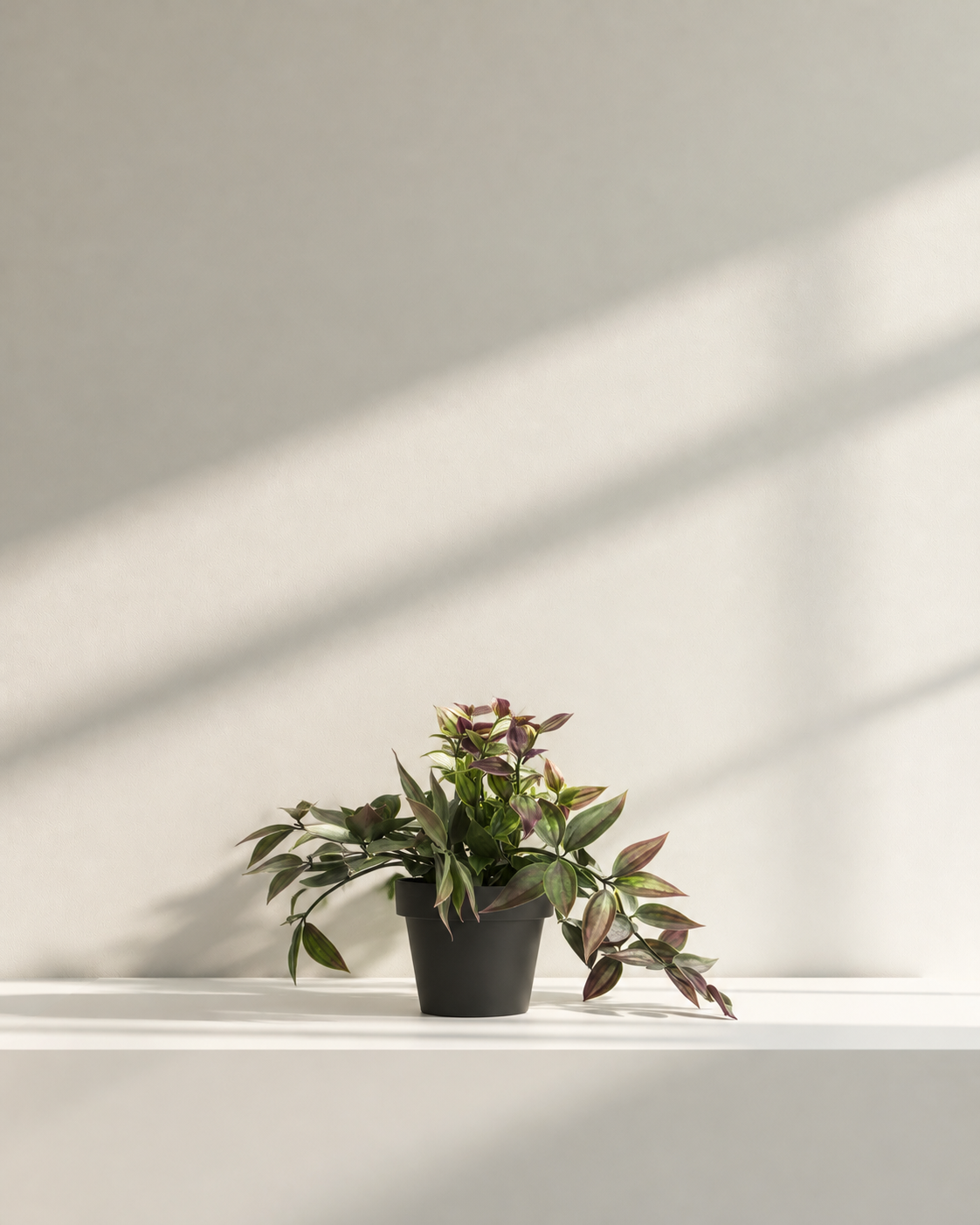 Wandering Dew faux potted plant with trailing green and purple leaves in a black pot on a white shelf