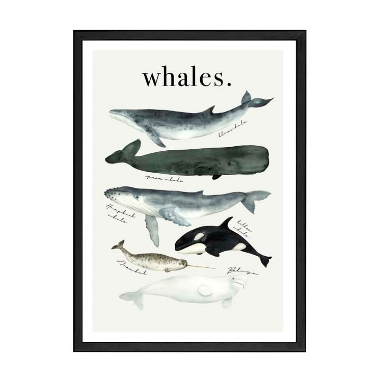 Watercolour Whales Print by Papier HQ in a matte black frame