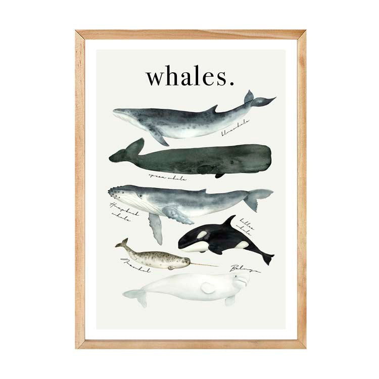 Watercolour Whales Print by Papier HQ in a natural timber frame