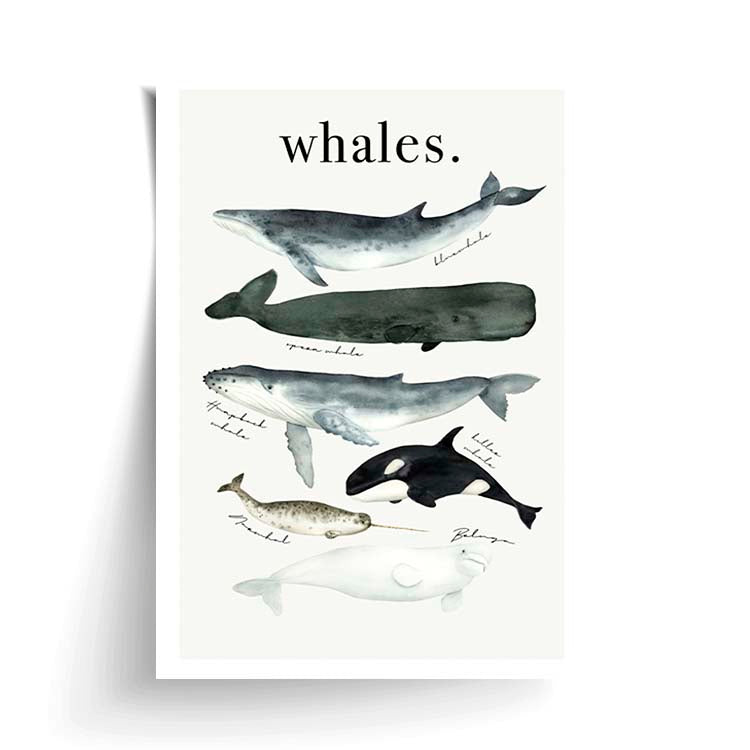 Watercolour Whales Print by Papier HQ unframed on matte card