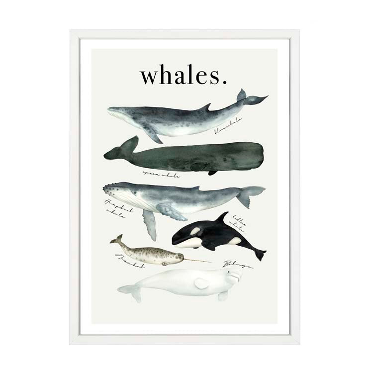 Watercolour Whales Print by Papier HQ in a matte white frame