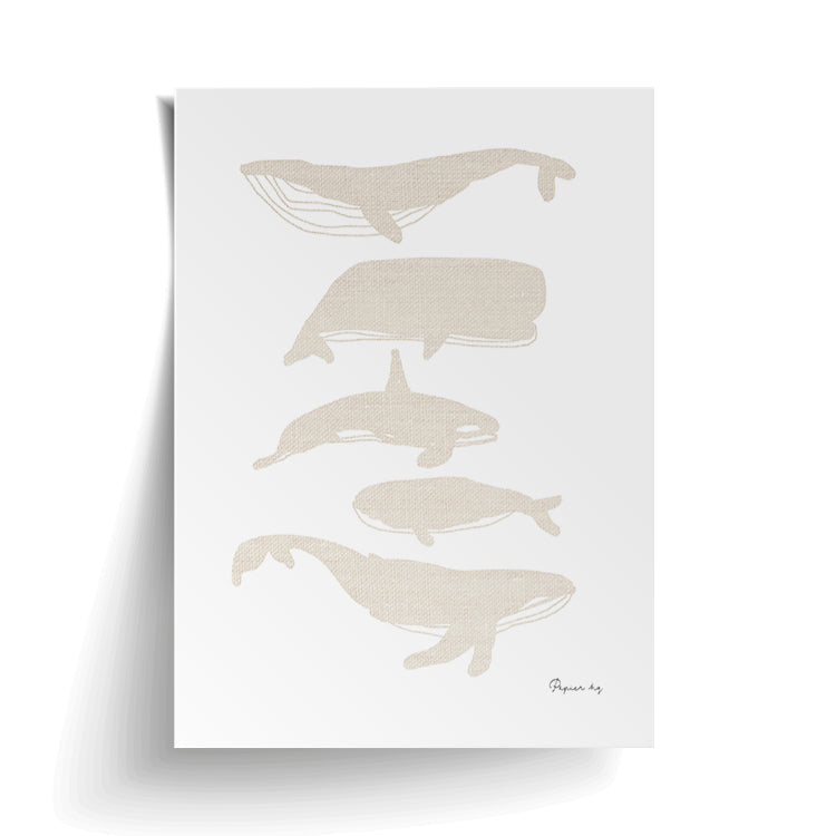 Whales print unframed, shown as a loose sheet with a lifted corner
